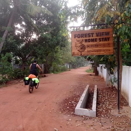 Forest View Home Stay Anuradhapura Ngoại thất bức ảnh