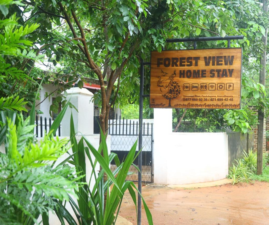 Forest View Home Stay Anuradhapura Ngoại thất bức ảnh